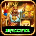 bingopkr - VIP Earning App