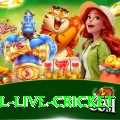 bpl live cricket King Gaming App