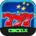 crickex Official v3.4.1