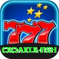 croaker fish Live King