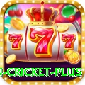 fastest ball in cricket King Slots
