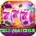 india upcoming cricket matches Live Casino Turbo