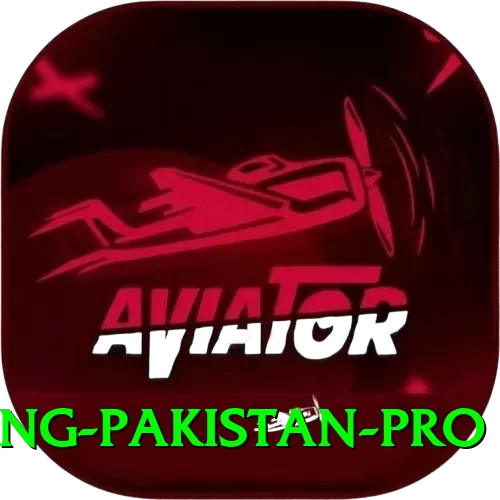IPL Betting Pakistan Gaming Premium - 2