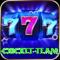 ireland cricket team Ultimate - Daily Bonus