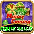 jacques kallis - Premium Earning App
