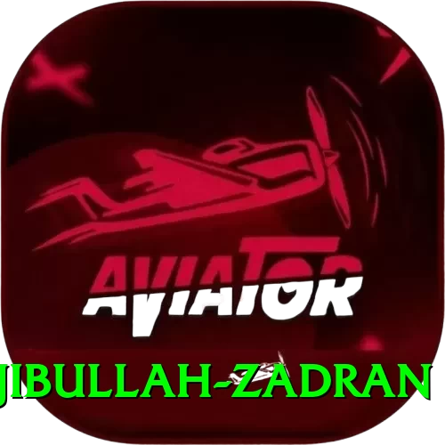 najibullah zadran - Gaming Extreme - 2