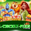 one cricket Gaming Turbo v3.4.7