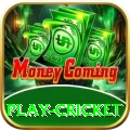 play cricket Earn Super v5.4.9