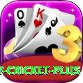 play cricket Champion - Free Download