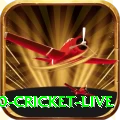 t20 cricket live - Real Money King