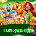 test match Earn Master v1.6.2