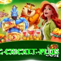 uc cricket Mega v1.2.3