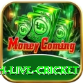 watch live cricket - Royal Edition v2.0.2
