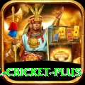 watch live cricket Live King v5.8.8