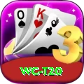 wc t20 Deluxe v3.8.9