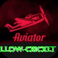 willow cricket VIP v2.3.8