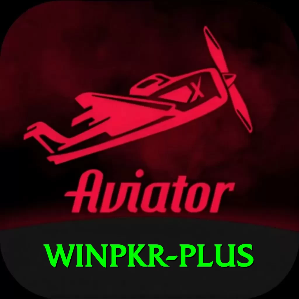 winpkr Slot Machine Plus - 2